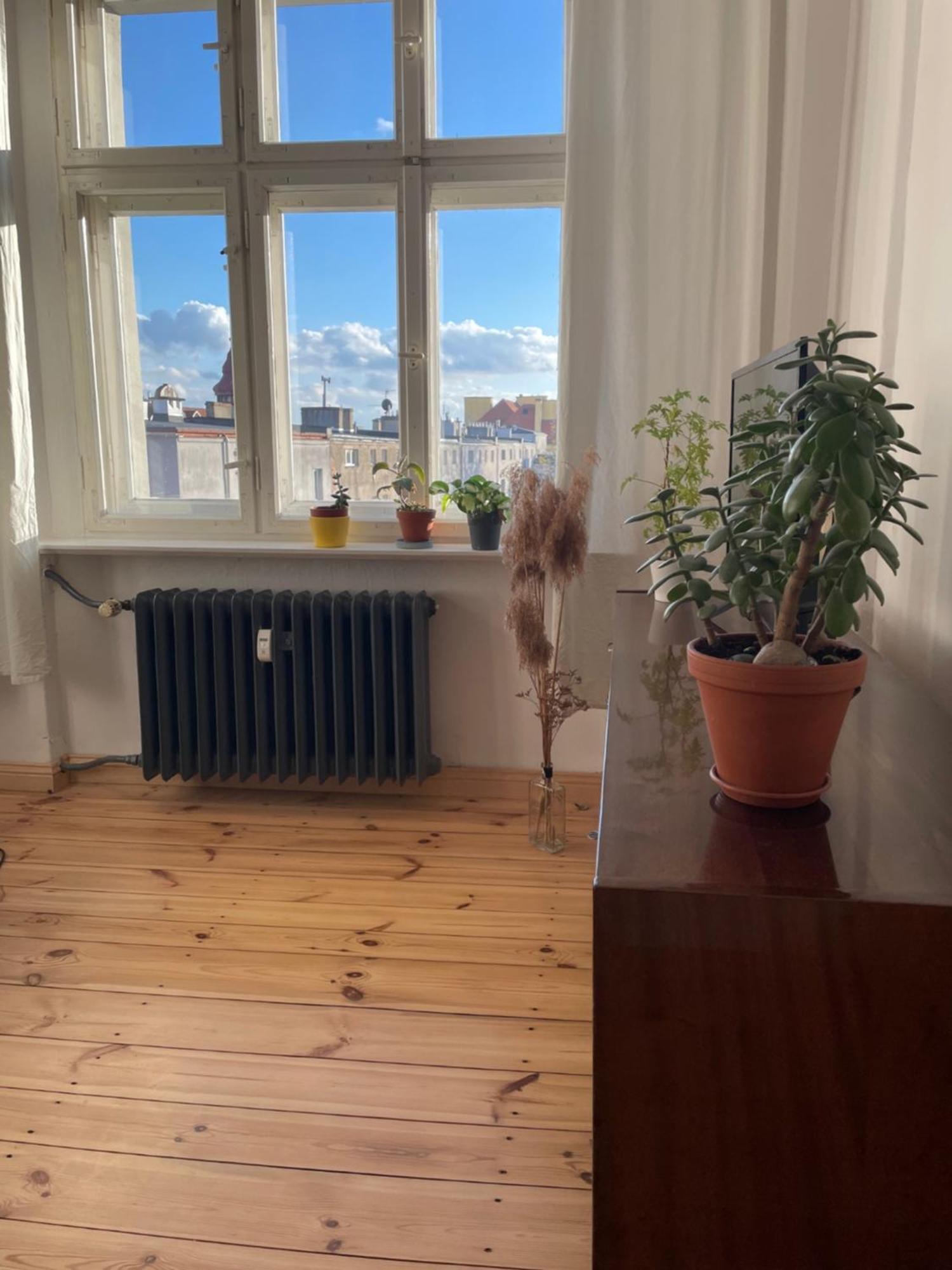 Sentymenty - Apartamenty W Kamienicy Na Mickiewicza Торунь Екстер'єр фото